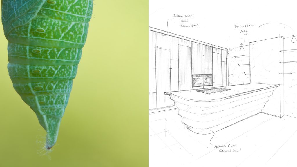 Nature Inspired Eco Kitchen Design