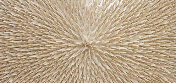 Surface Design Show 2018 Acoustic Materials